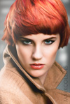 Click for large preview